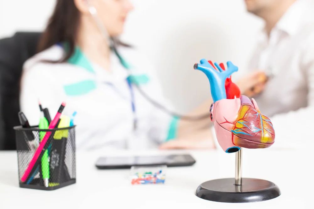Doctors discussing with heart model on desk.